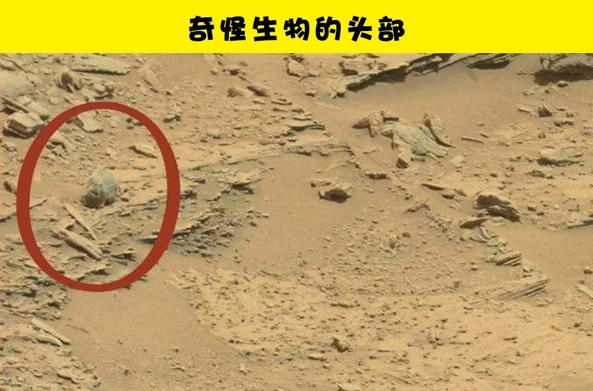今天来聊聊:人们在火星上的6大神秘的发现