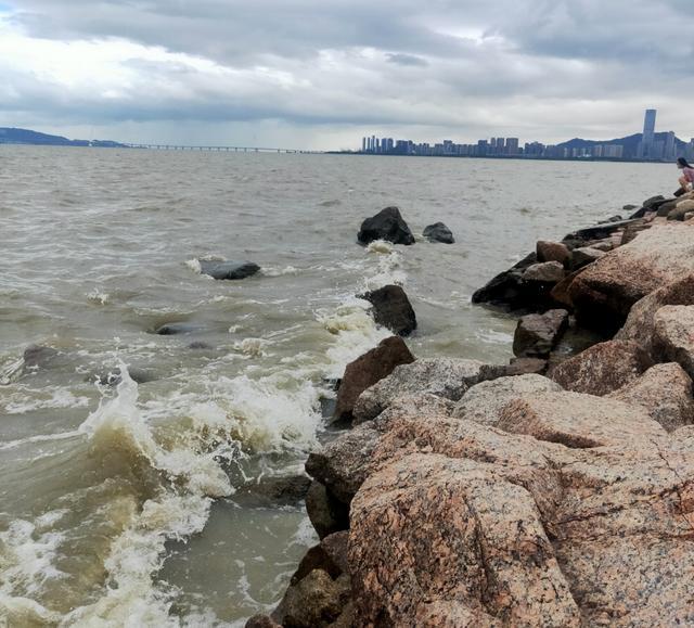实拍深圳湾公园,他们是穿越了吗?打工者:原来深圳也有