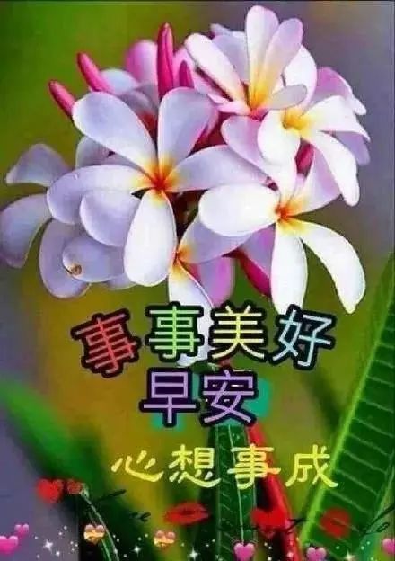 最新早上好祝福温馨句子,早晨精美的早安祝福表情文字