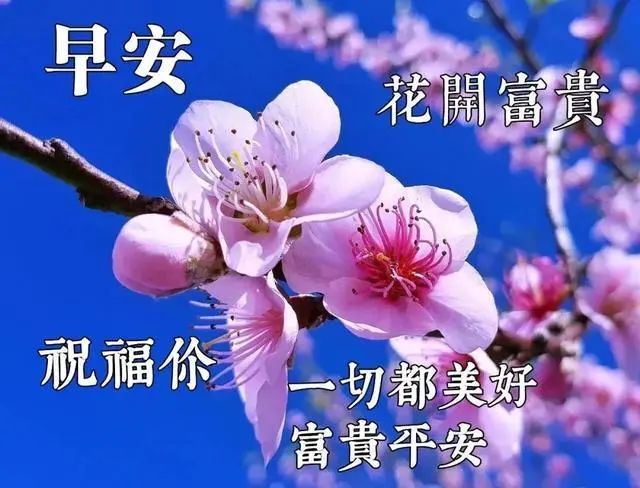 5月14日最漂亮早上好图片动态表情大全 早上好问候语及关心话