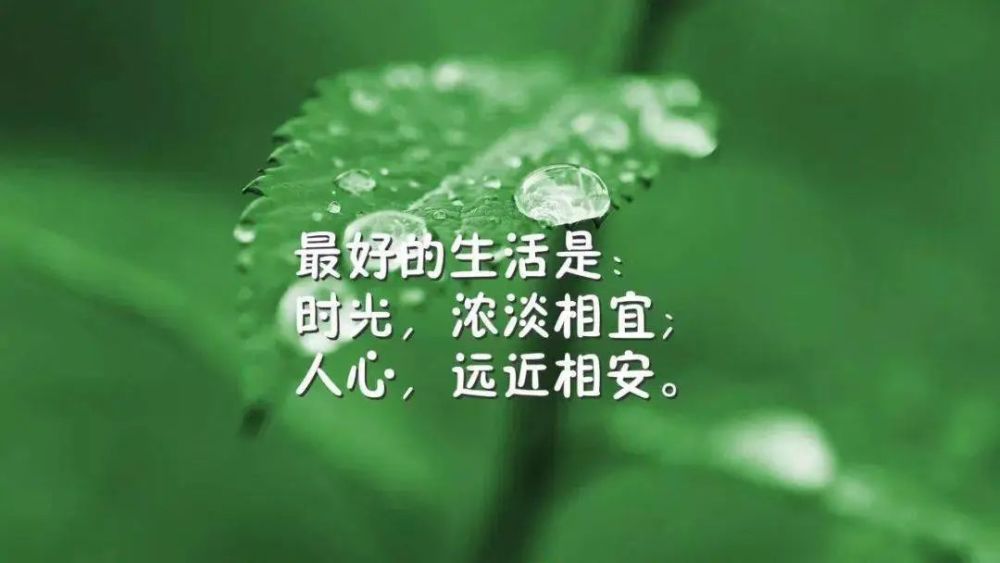 生活早安心语:谦虚谨慎才是为人之道,大度宽容才是处世之理