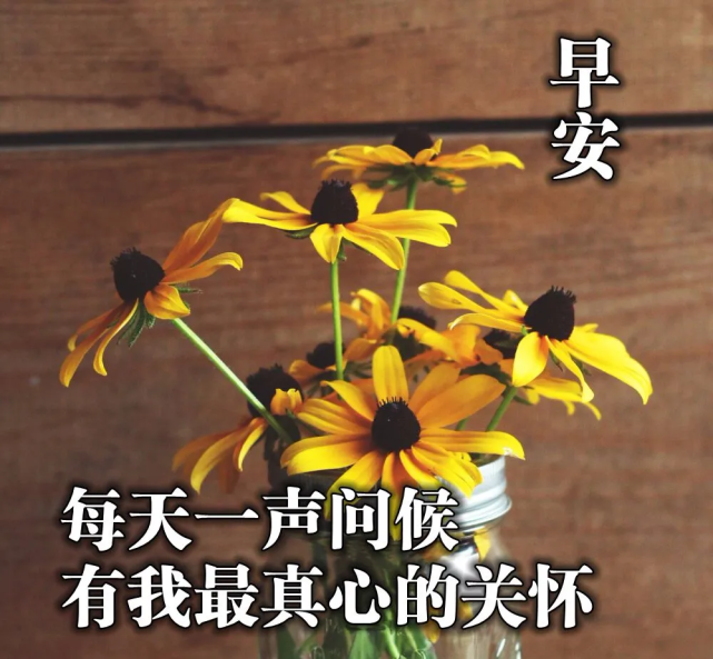 周三最新漂亮的早安吉祥图片大全,星期三早上好最新带