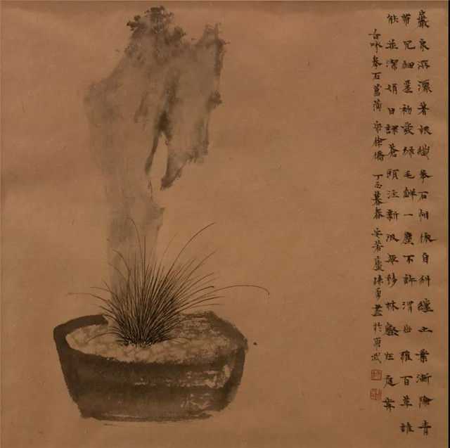 生于山野的菖蒲,为何被称为"活着的文玩"?