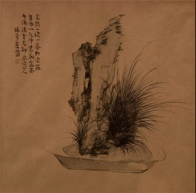 生于山野的菖蒲,为何被称为"活着的文玩"?