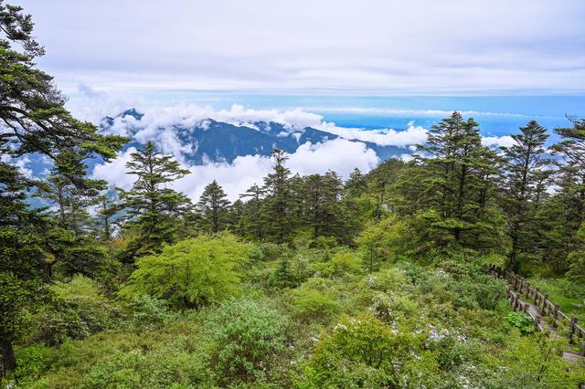 虽然西岭雪山没有泰山和华山那般的险峻,但也是风光无限,一年四季都有