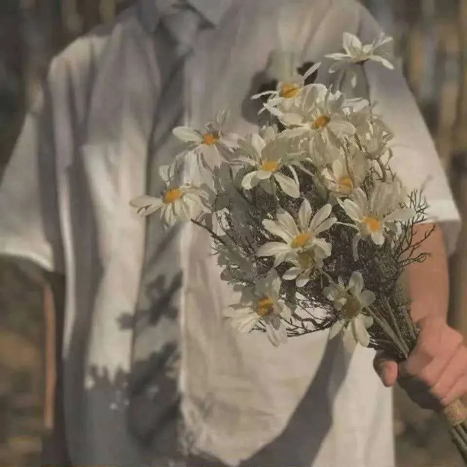 男生头像第16期鲜花帅哥头像送你一朵花祝你每天快快乐乐
