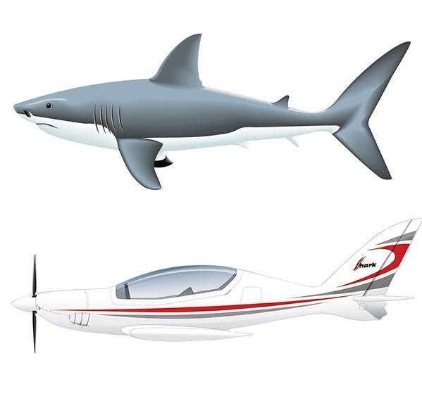 仿生学中的经典设计—鲨鱼飞机