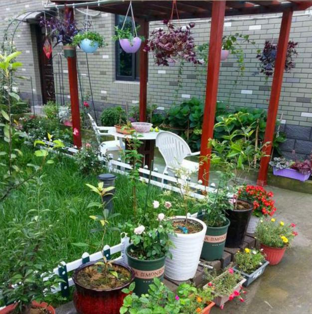 宽敞的庭院里种满了花花草草.