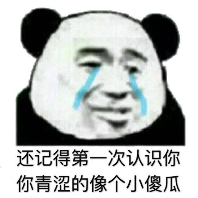 表情包"我是你们谁都得不到的熊猫头"