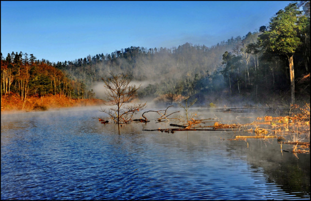 云南铜锣坝国家森林公园天然氧吧风景美如画