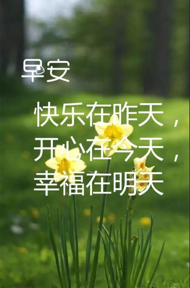 8月12日早安问候每日一祝