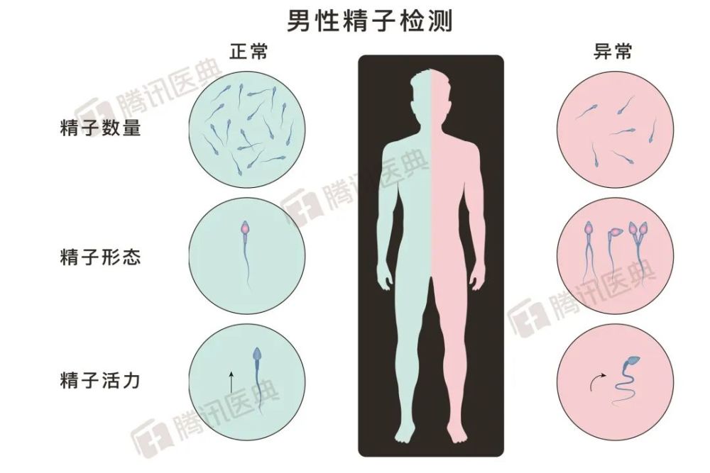 还在以“年龄大了也能要孩子”为借口吗？清醒吧，男人！