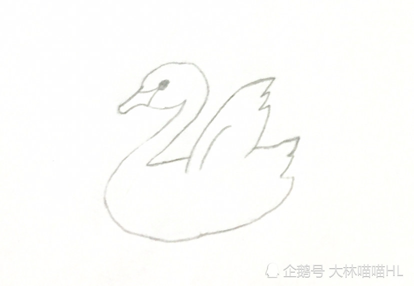 入门版鸭子天鹅的简笔画步骤画法