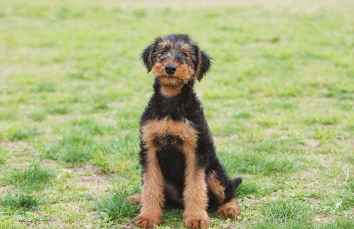 惠比特排名_惠比特