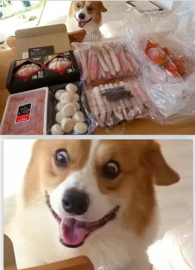 搞笑照片:看到男厕所的照片你要是憋住不笑,我一个月不洗头