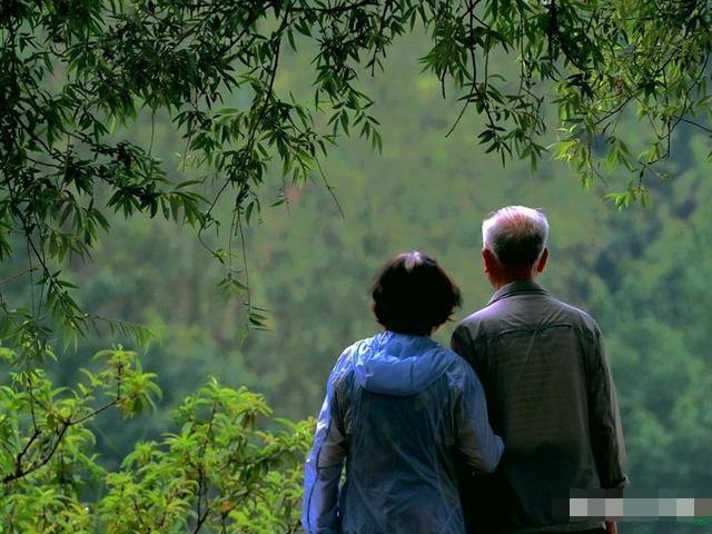 为什么现在很多丧偶的老人不找老伴了?看完你就知道了