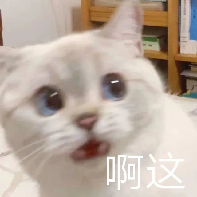 可爱猫咪表情包