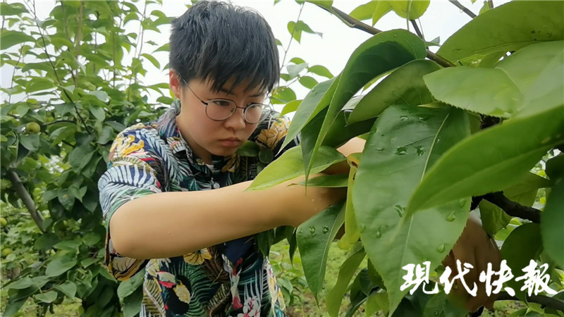 华梦丽在农场干活