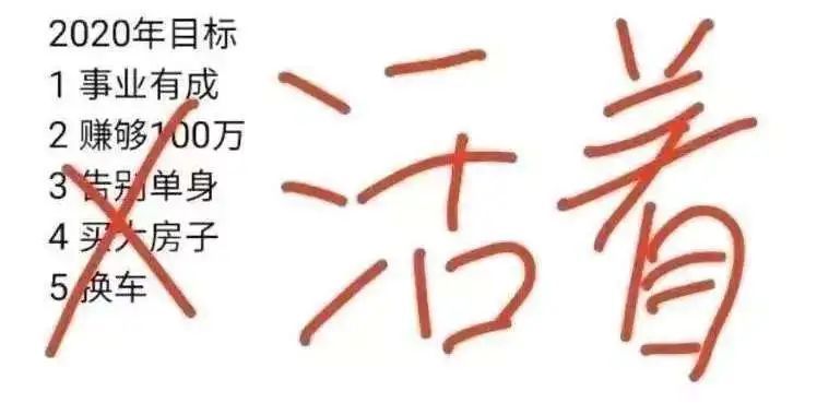 很多人说2020年别无所求,活着就好.