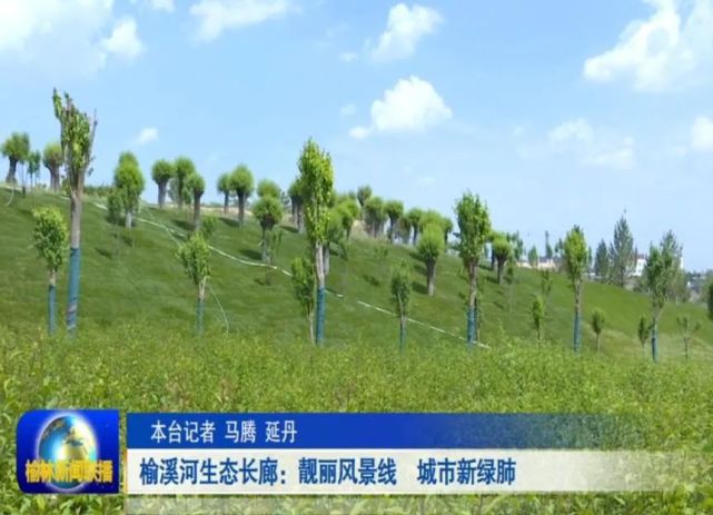 榆溪河生态长廊:靓丽风景线 城市新"绿肺"