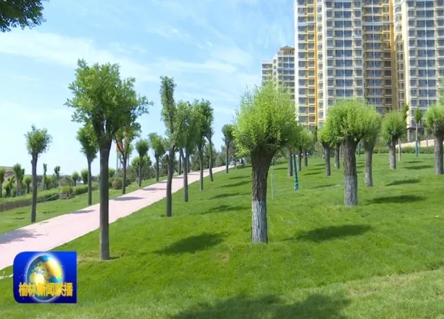 榆溪河生态长廊:靓丽风景线 城市新"绿肺"