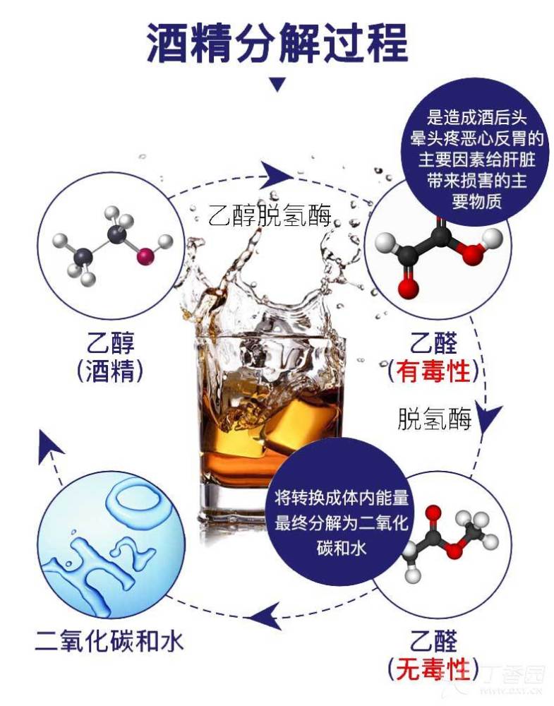 30岁小伙喝大酒险些丧命,关于酒精中毒,你必须要知道的3件事