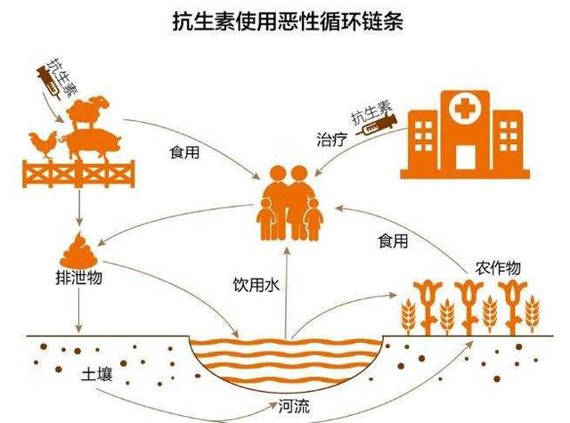 这一禁令的实施,规定在水产养殖企业将不再饲维含抗生素的饲料,并且