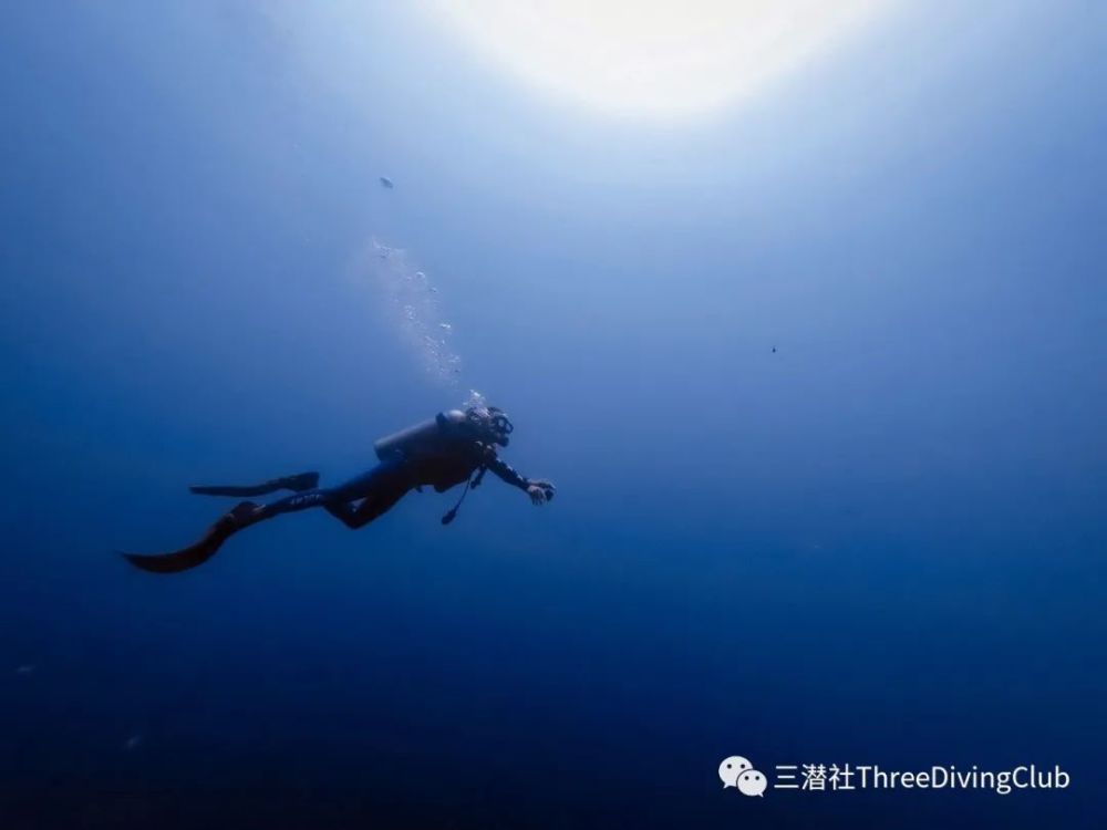 【事故】在海潜时真的失散了!