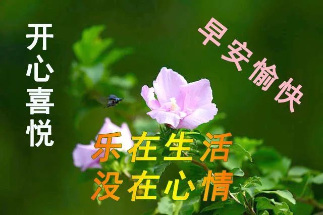 7月早安图片问候带字 周四早上好问候语简短