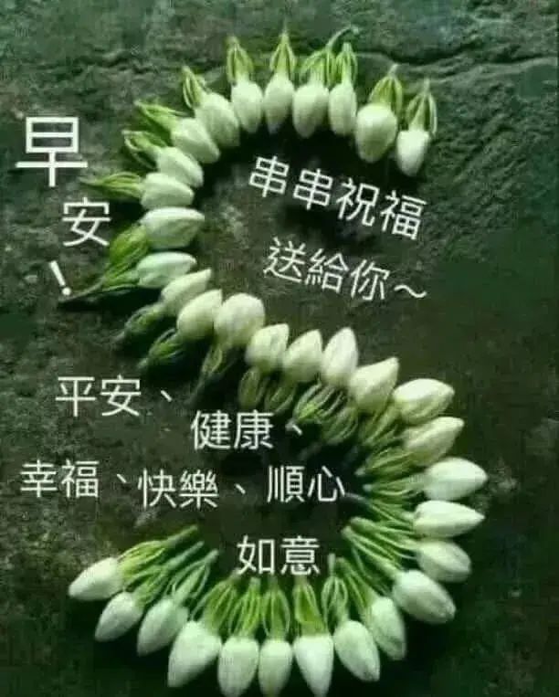 朋友圈早上好祝福表情问候图片带字 早安祝福问候图片