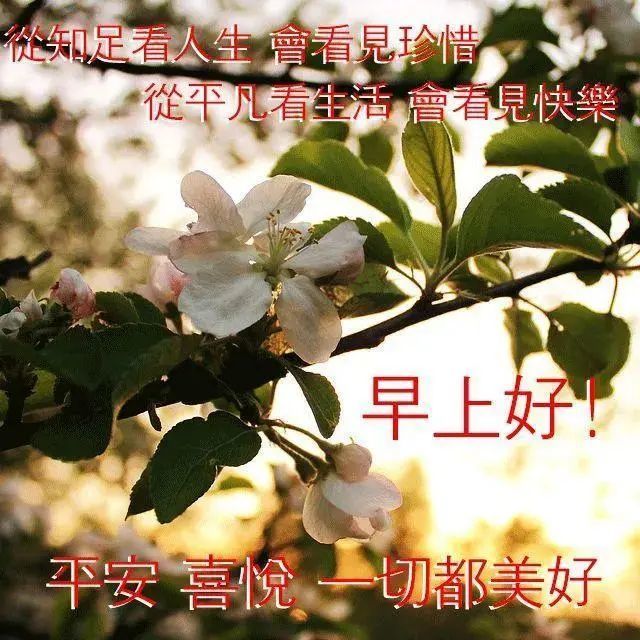 6月25日早上好图片问候祝福语,早安心语正能量经典语录