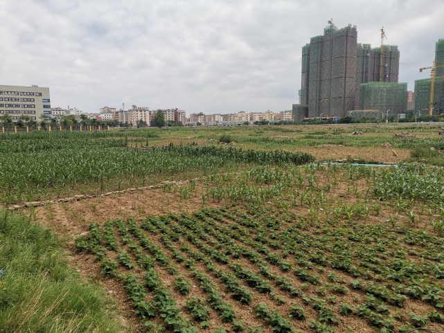 曲靖市麒麟区南片靠近麒麟湖,看到这块空地,你想到了啥?