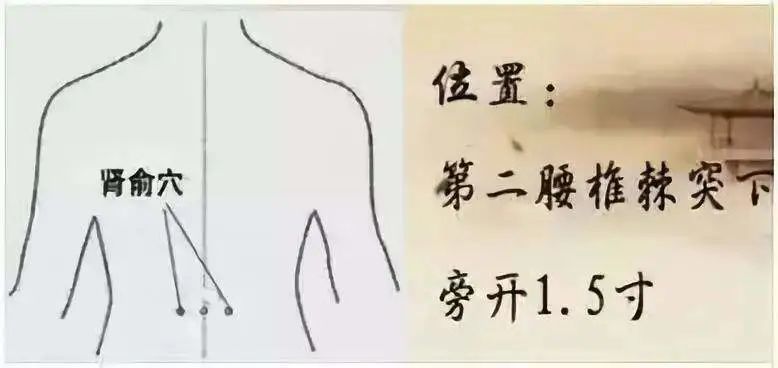 3.足三里