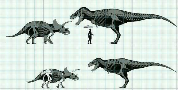 三叠纪与侏罗纪这两个时期的食肉性恐龙体积有何差异
