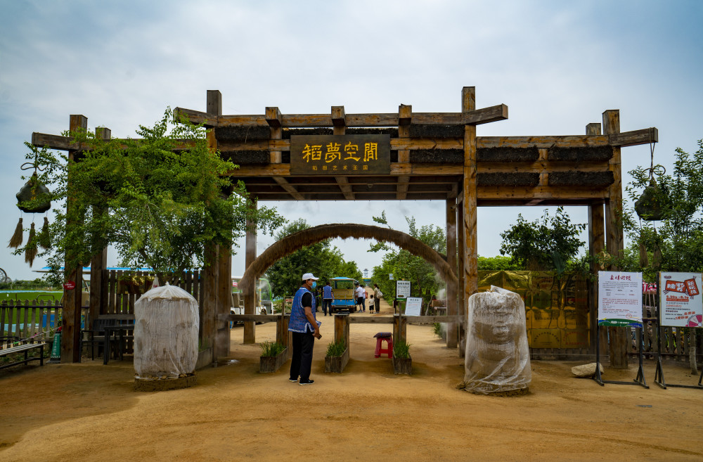 沈阳稻梦空间稻田画已展现在游人面前