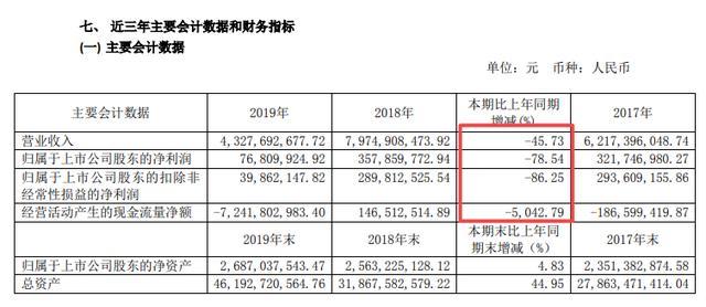 公司2019年财务报表