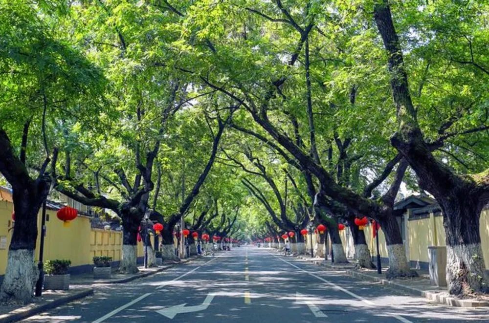 刚刚亲眼见证震撼内景！积贫积弱的民国，在南京留下史诗级建筑群