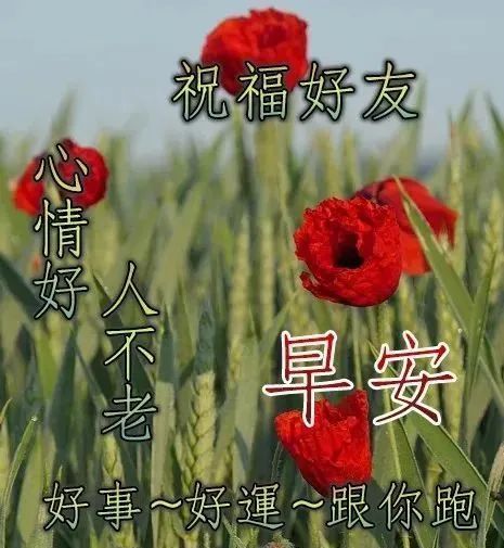 中老年表情包,安心爽心欢心,永远开心!