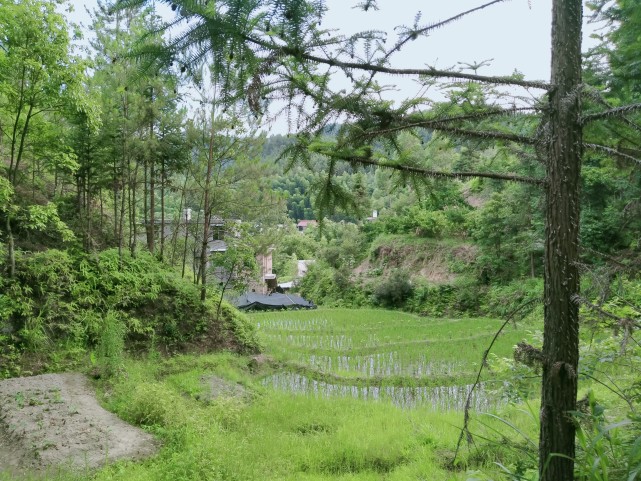 江西赣州上犹县山区农村风景,田园风光,景色秀丽,犹如