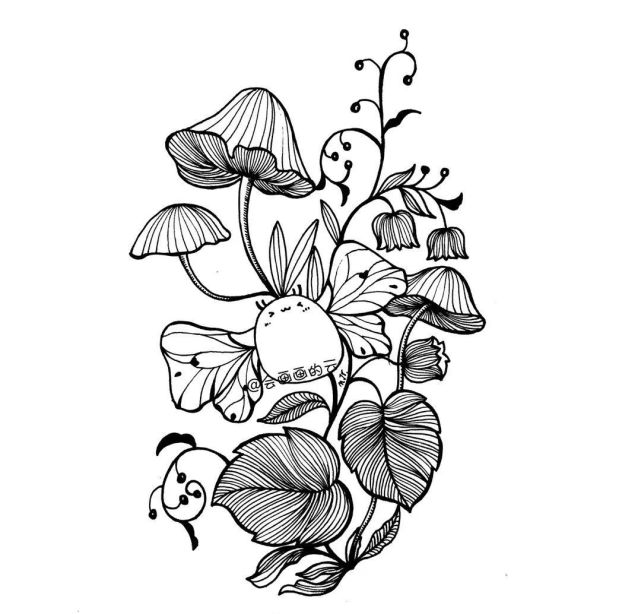植物系列: 很多朋友或许要说,线稿太难了,怎么都画不好,对于初学者来