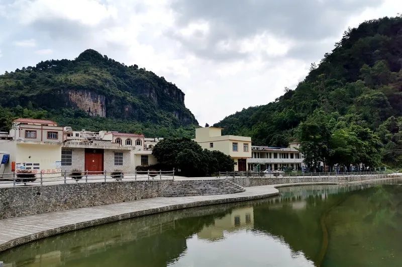在大新县东风村板扭屯 就有这样的套种模式 真正实现一地多用 帮助