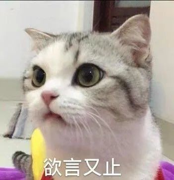 搞笑表情包图片:猫狗老鼠和人