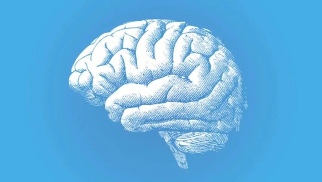 人类作死实验把这个人类特有基因转入猴子后它们的大脑更大更强了