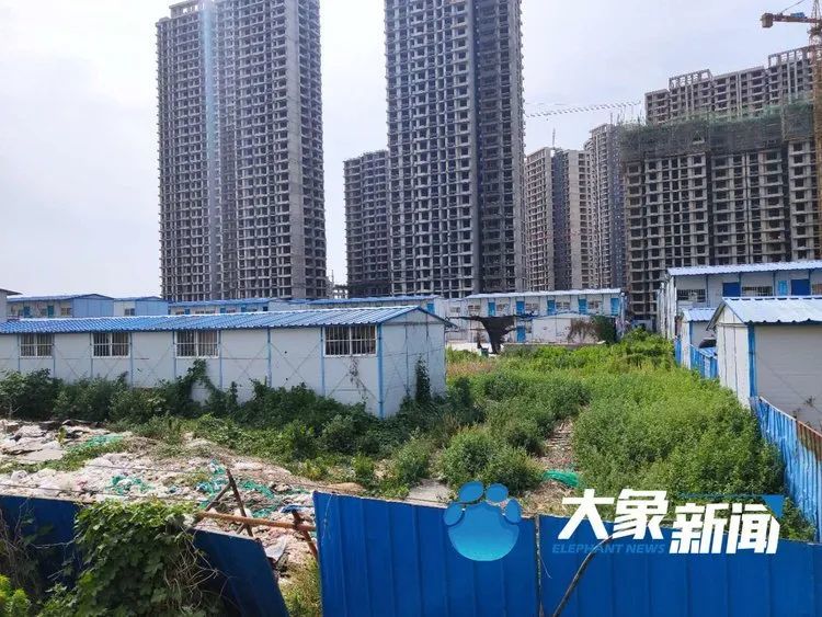 单亲妈妈张女士:"就想在郑州有个家"