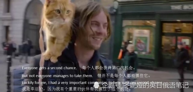 回顾一下流浪猫鲍勃,同时了解一下它和主人击掌的经典