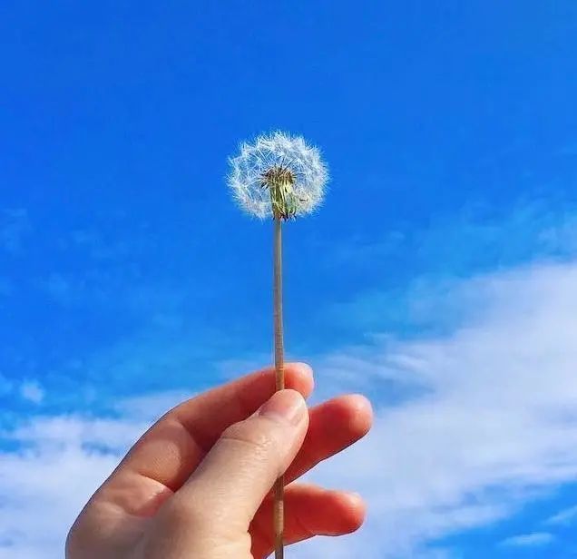 积极阳光的励志心语,豁达唯美,选一句喜爱的送给自己
