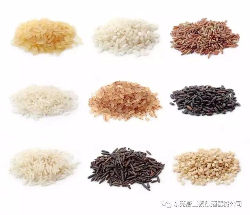 关于大米酿酒的这些问题,你是否也想知道?
