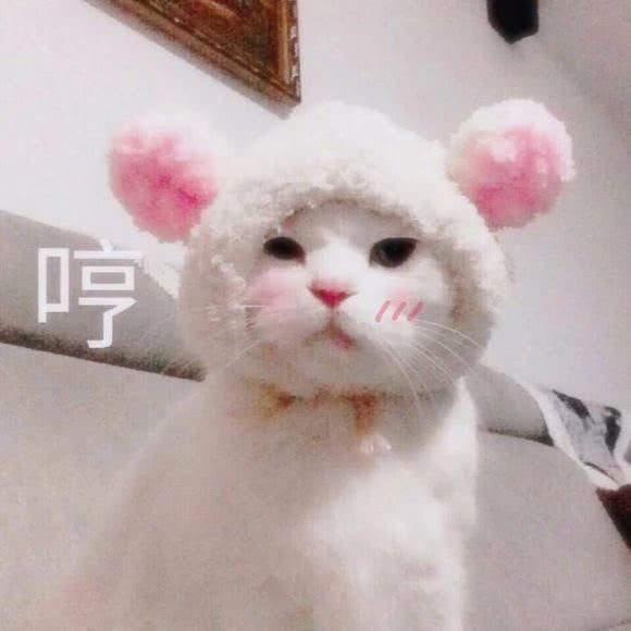 可爱表情包:想你,想盗你微信在下面评论我也想你