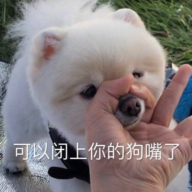 撩对象的表情包哦