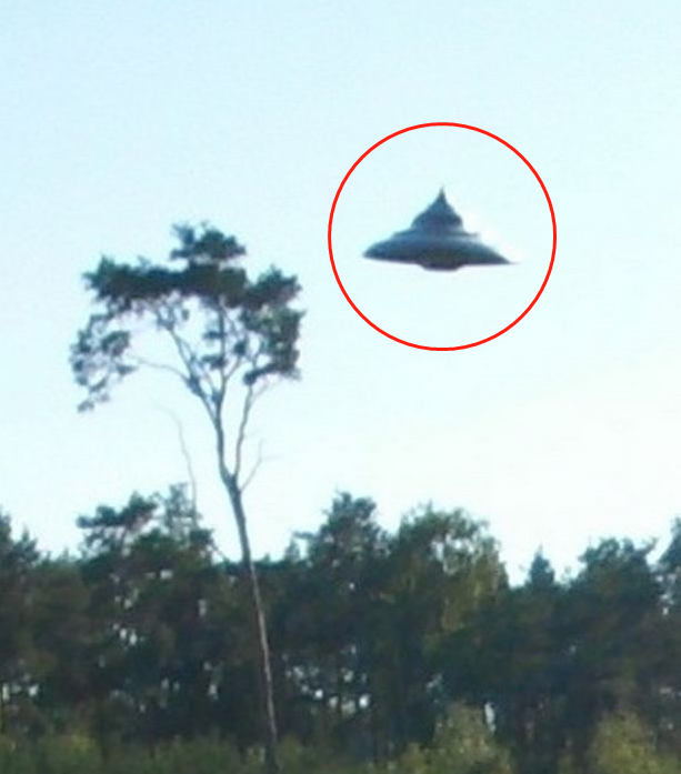 实拍:不明飞行物在森林上盘旋,ufo研究人员:这是个真正的物体
